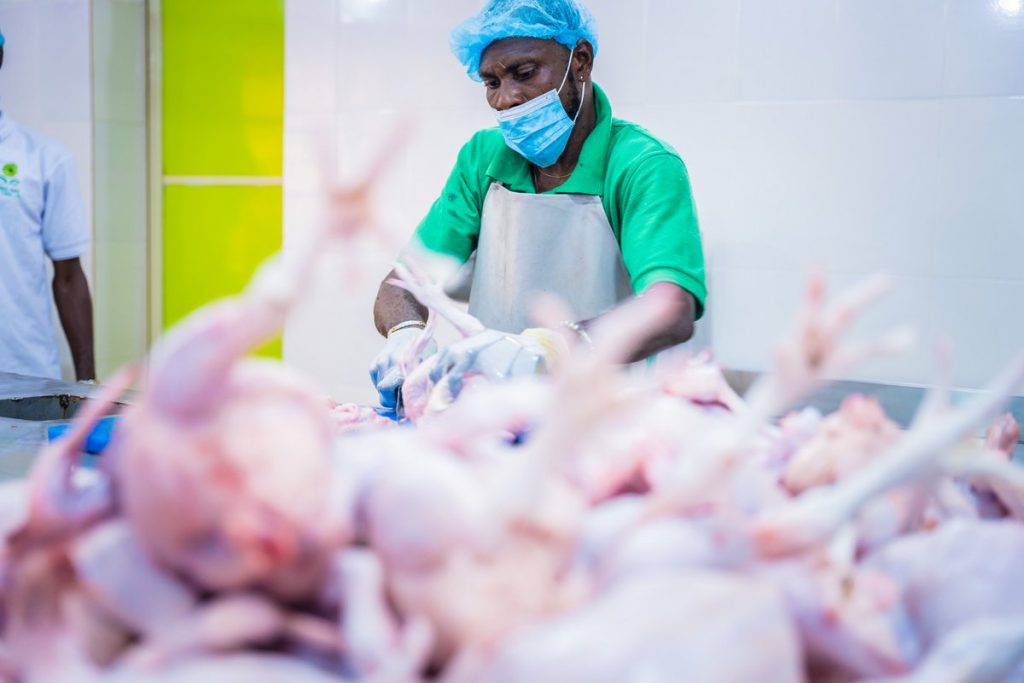 WPO Poultry Processing